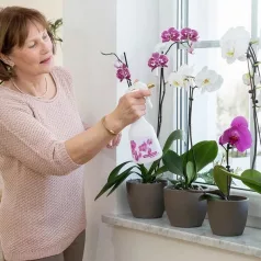 Birchmeier Melua (360) kézi orchidea permetező