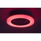 Rábalux 71333 Dalfon2 Mennyezeti lámpa