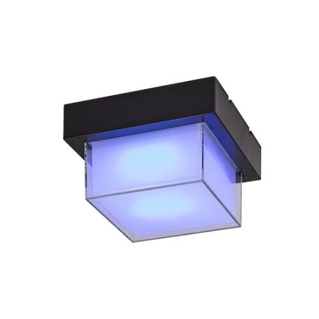 Rábalux 7247 Durbe Kültéri fali lámpa/ Kültéri mennyezeti