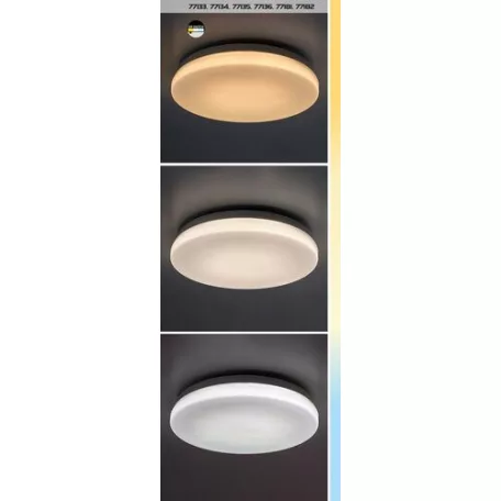 Rábalux 77135 Lowar Kültéri mennyezeti lámpa