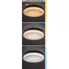 Rábalux 77136 Lowar Kültéri mennyezeti lámpa