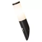 Rábalux 8146 Black torch Kültéri fali lámpa