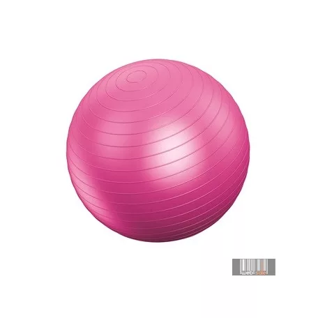 Vivamax gimnasztikai labda 55 cm GYVGL55