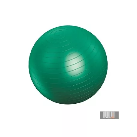 Vivamax gimnasztikai labda 65 cm GYVGL65