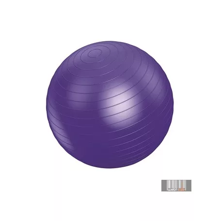 Vivamax gimnasztikai labda 75 cm GYVGL75