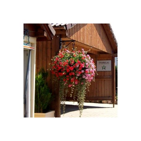 Kerek alakú függesztheto virágtartó 600 x 250 mm 3941