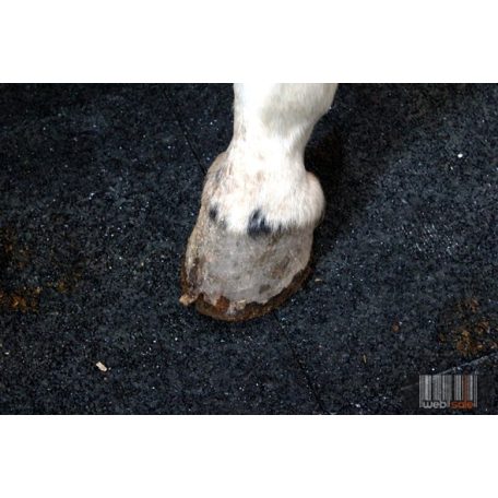 EquiFlex gumi istállópadló ST0 (Vastagság: 4 cm, Méret: 100X100 cm)