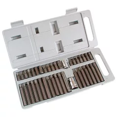   EXTOL 6640 bit klt., műanyag dobozban; CV., 40db-os, hatlap(H4-H12), XZN(Spline, TT5-TT12) és TORX (T20-T55), adapter 3/8" és 1/2"