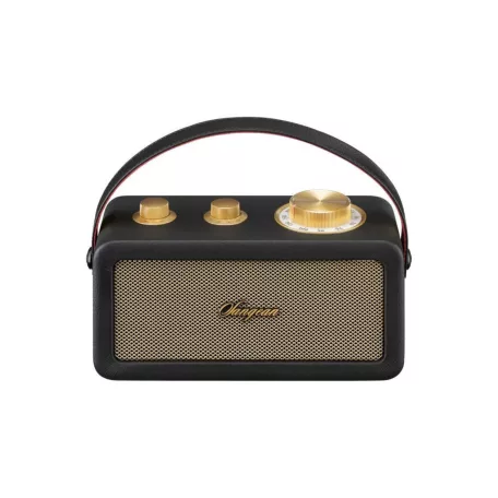 Sangean RA-101 B/G hordozható retro Bluetooth / FM rádió (fekete)