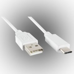 Home USBC 1 Töltokábel, USB-C