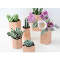 Virágcserép, kaspó