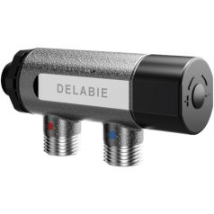   DN15, 1/2" termosztatikus keverőszelep, DELABIE Premix Compact, forrázásgátlós, szűrőkkel és visszacsapó szeleppel